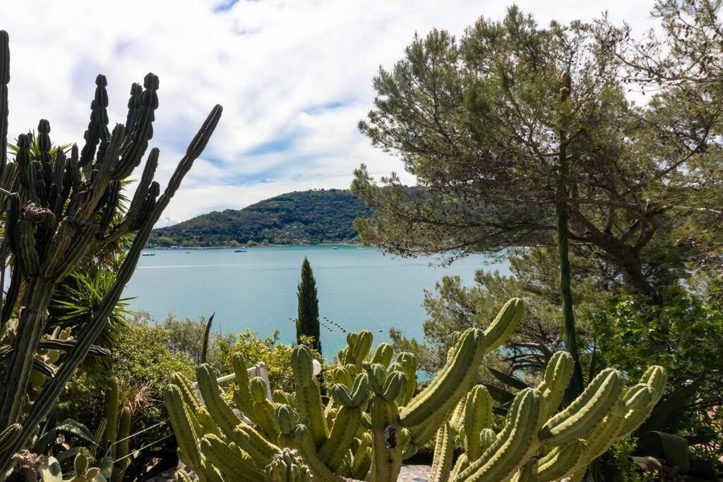 Il Giardino Tra Cielo E Mare Lägenhet Porto Venere Exteriör bild